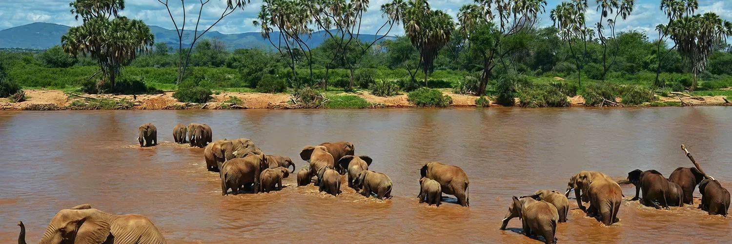 samburu_national-park 1 (1).webp